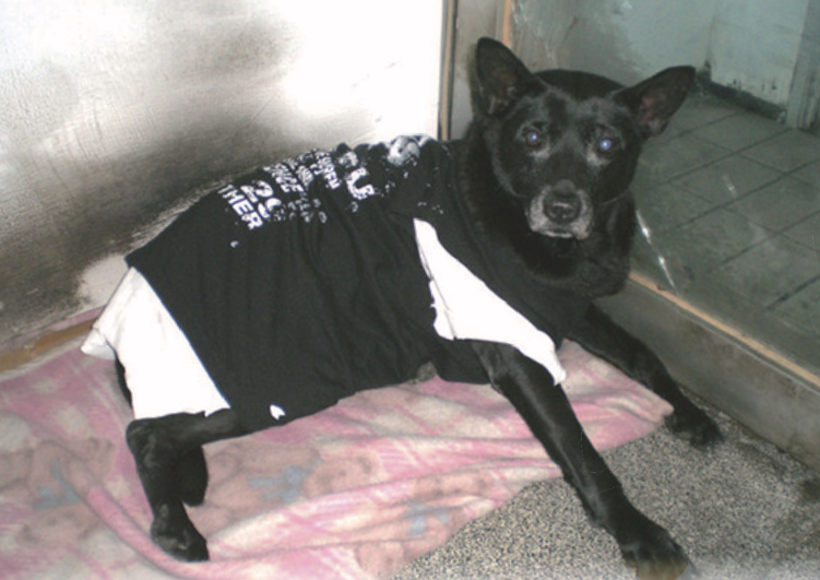 為階梯蓋上腳印