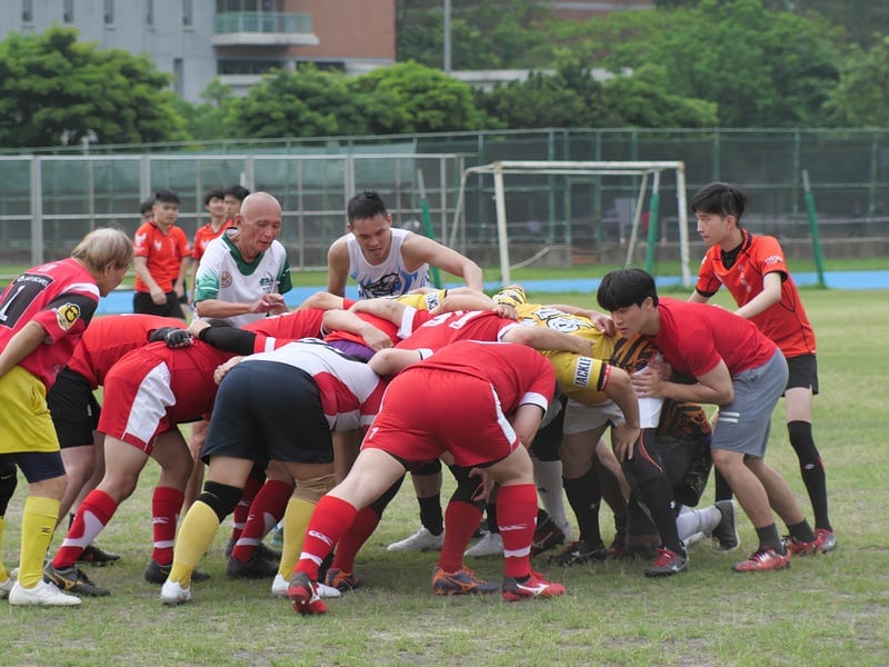 球逢知己：熱血台大醫橄