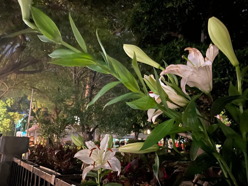 青島東路作為生活圈的一部分