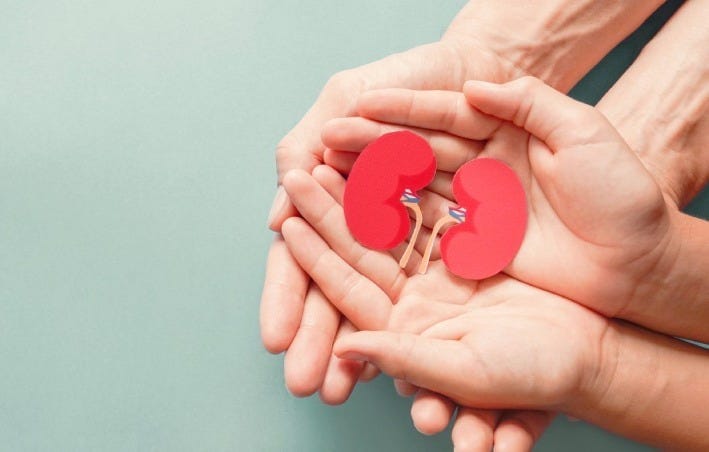 被專業包裝的恐懼：從器捐事件出發